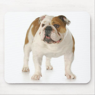 Englisch Bulldoggen-Welpen-Mauspad Mousepad