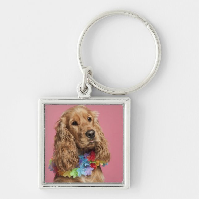 Englisch Cocker spaniel (10 Monate alte) Schlüsselanhänger (Vorne)