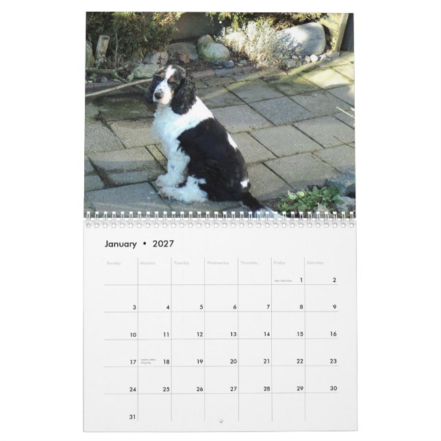 Englisch-cocker spaniel-Kalender Kalender (Jan 2027)