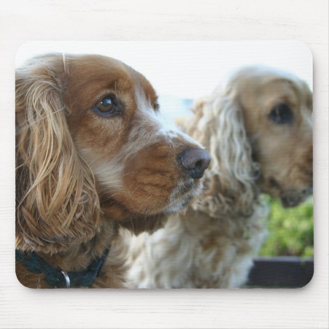 Englisch-Cocker spaniel-Mausunterlage Mousepad (Vorne)