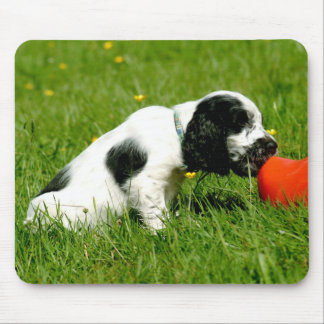 Englisch-Cocker spaniel-Welpe Mousepad