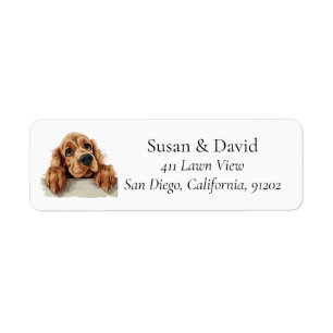 Englisch Cocker Spanisch Hunde Rasse Pet Liebhaber