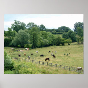 Englisch Farmland Poster