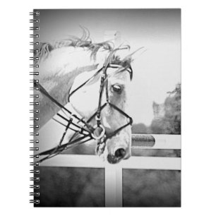 Englisch Horse Note book Notizblock