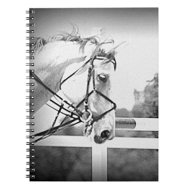 Englisch Horse Note book Notizblock (Vorderseite)
