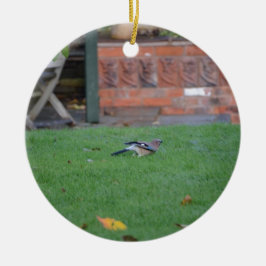 Englisch Jay Keramikornament