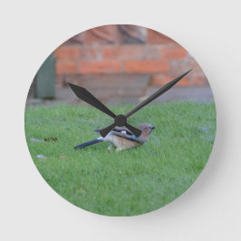 Englisch Jay Runde Wanduhr