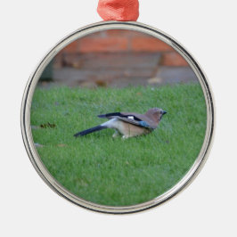 Englisch Jay Silbernes Ornament