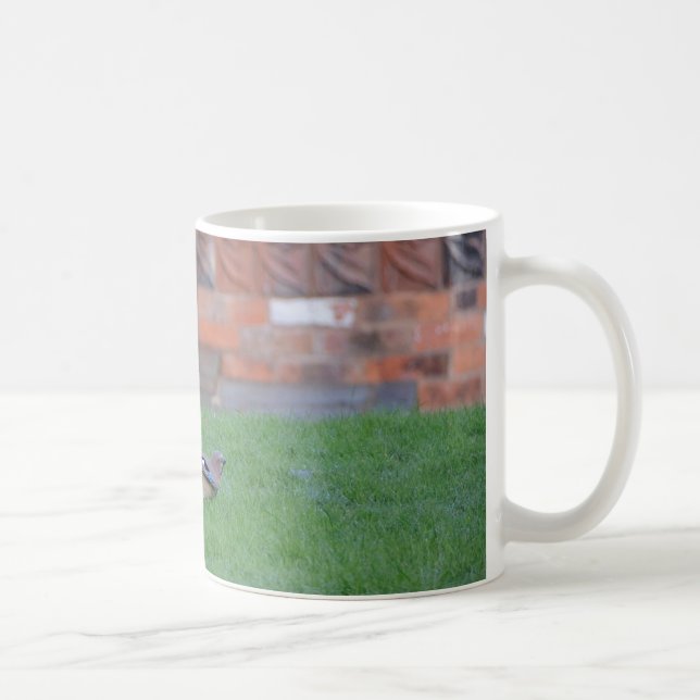 Englisch Jay Tasse (Rechts)