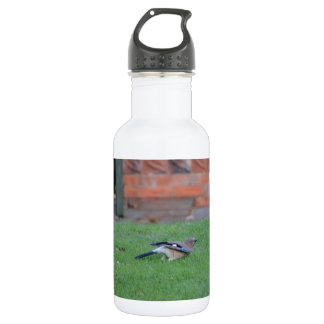 Englisch Jay Trinkflasche