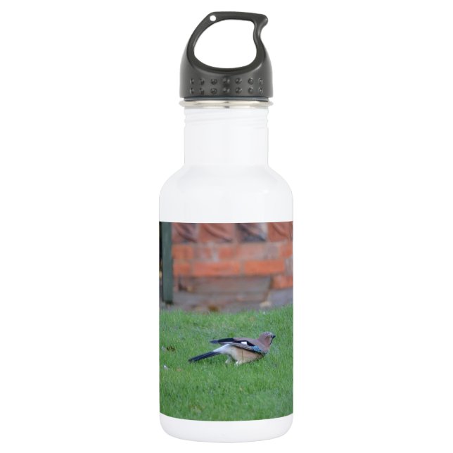 Englisch Jay Trinkflasche (Vorderseite)