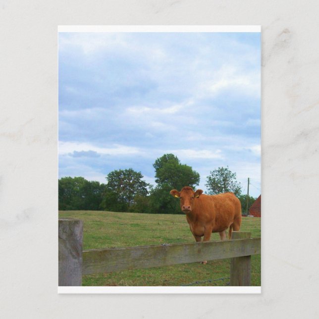 Englisch Landschaftliche Fotos Postkarte (Vorderseite)