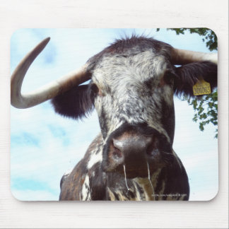 Englisch-Longhorn-Vieh-Kuh Mousepad