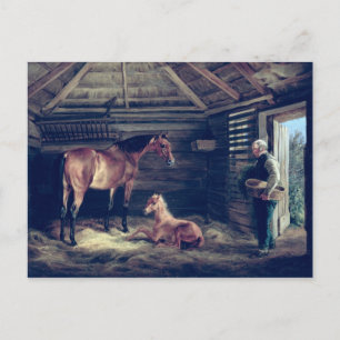 Englisch Mare with their Foals, 1833 Postkarte