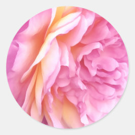 Englisch Pink Rose Blume Floral Petals Runder Aufkleber
