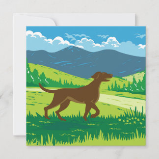 Englisch Pointer Dog with Mount Redfield in Adi Karte