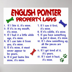 ENGLISCH POINTER PL2 POSTER
