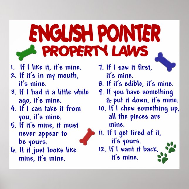 ENGLISCH POINTER PL2 POSTER (Vorne)