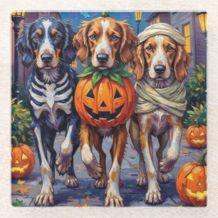 Englisch Setter Halloween-Kostüm beim Süßigkeiten- Glasuntersetzer