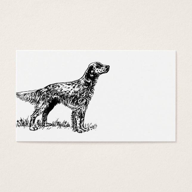 Englisch setter zeichn.png (Vorderseite)