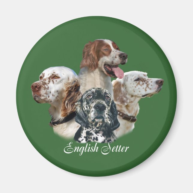 Englisch SetterKann nicht nur ein Magnet haben (Vorne)