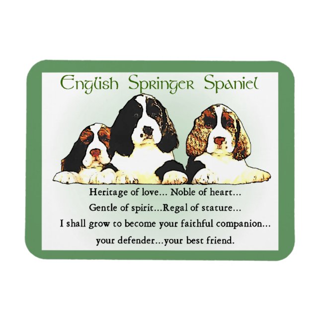 Englisch Springer Spaniel Heritage of Liebe Magnet (Horizontal)