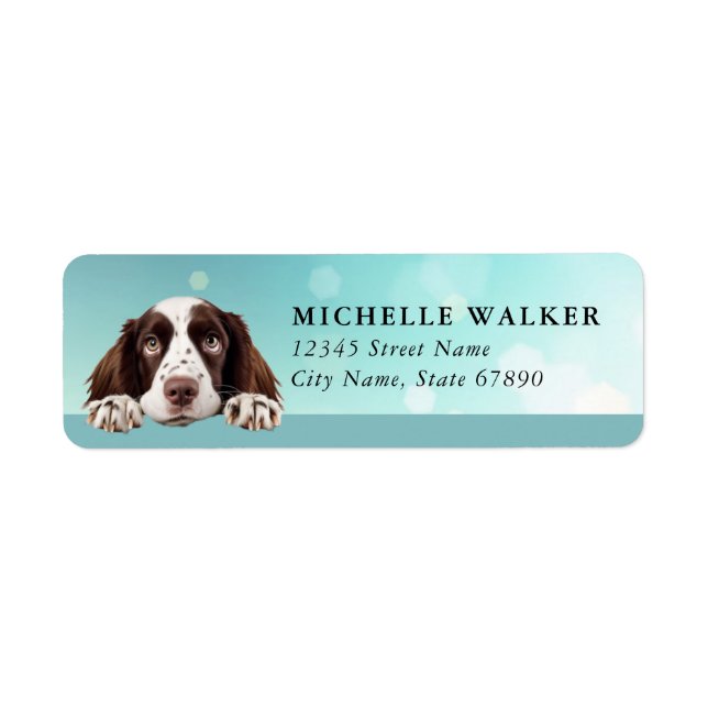 Englisch Springer Spaniel Rücksendeadressetiketten (Vorne)