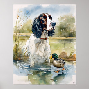 Englisch Springer Spanisch - Dog Art Print Poster