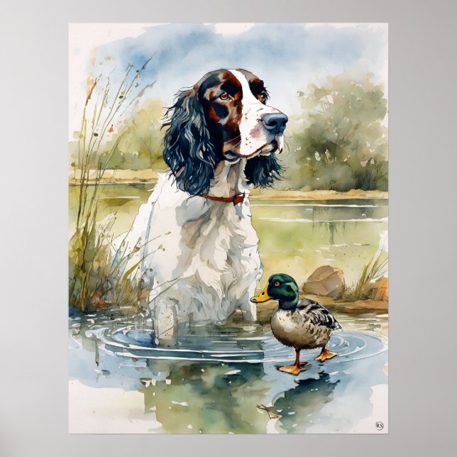 Englisch Springer Spanisch - Dog Art Print Poster (Vorne)