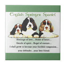 Englisch Springer Spanisch Kulturerbe der Liebe Fliese