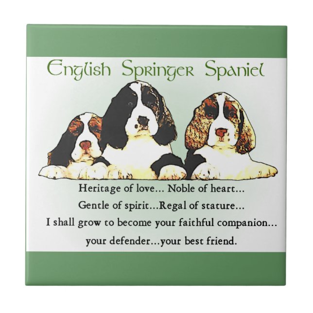 Englisch Springer Spanisch Kulturerbe der Liebe Fliese (Vorderseite)