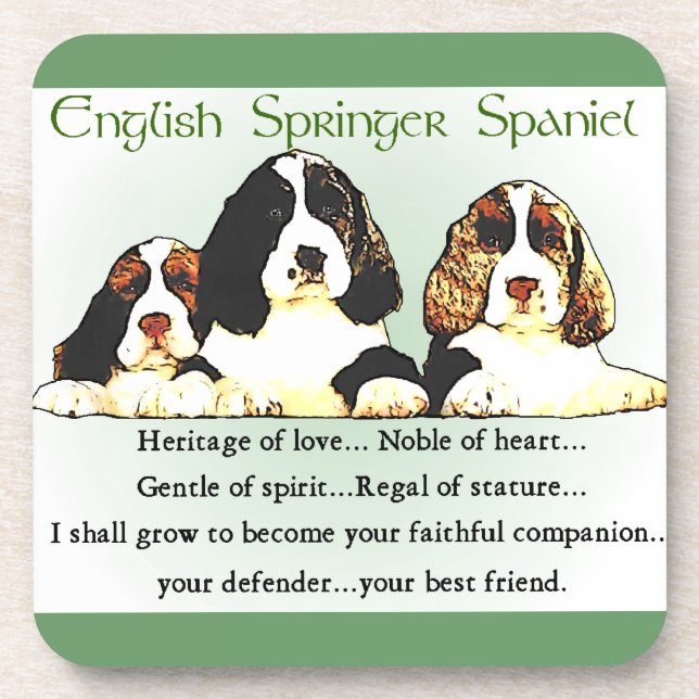 Englisch Springer Spanisch Kulturerbe der Liebe Getränkeuntersetzer (Vorderseite)