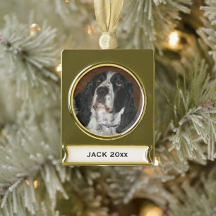 Englisch Springer Spanisch Pet Foto Banner-Ornament Gold