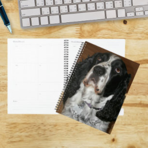 Englisch Springer Spanisch Pet Foto Planer