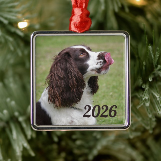 Englisch Springer Spanisch Sitzen, Licken Lippen Ornament Aus Metall (Baum)