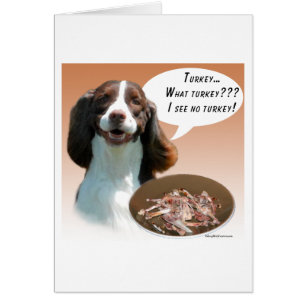 Englisch Springer Spanisch Türkei