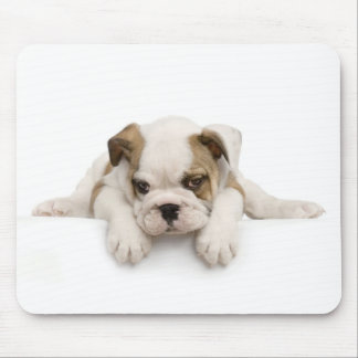 Englisch-Stier-Hund Mousepad