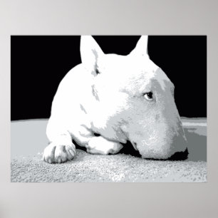 Englisch-Stier-Terrier, Pop-Kunst-Druck Poster