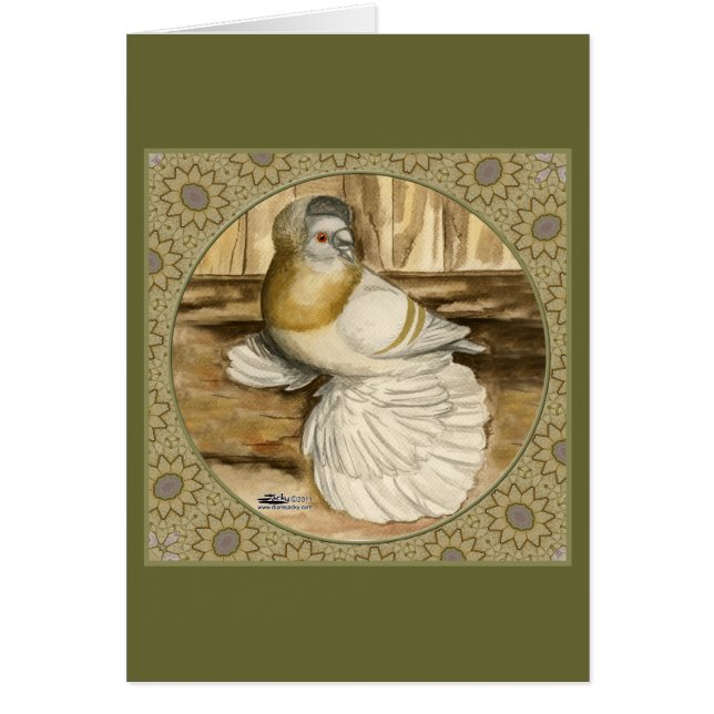 Englisch Trumpeter Taube Gold Frame (Vorne)