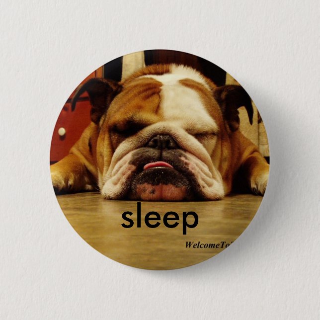 Englischbulldogge, Schlaf Button (Vorderseite)