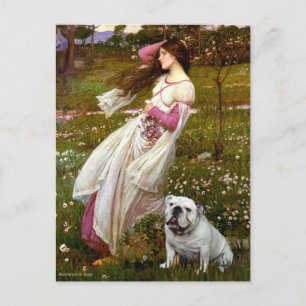 Englische Bulldogge 9 - Windflowers Postkarte