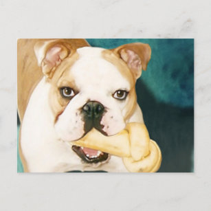 Englische Bulldogge Poster Zazzle At