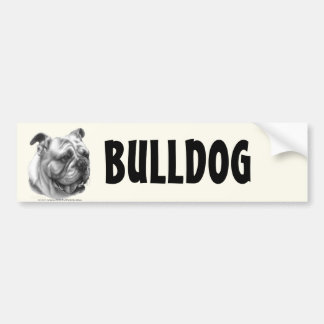 Englische Bulldogge Autoaufkleber