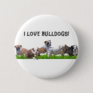 Englische Bulldogge Button
