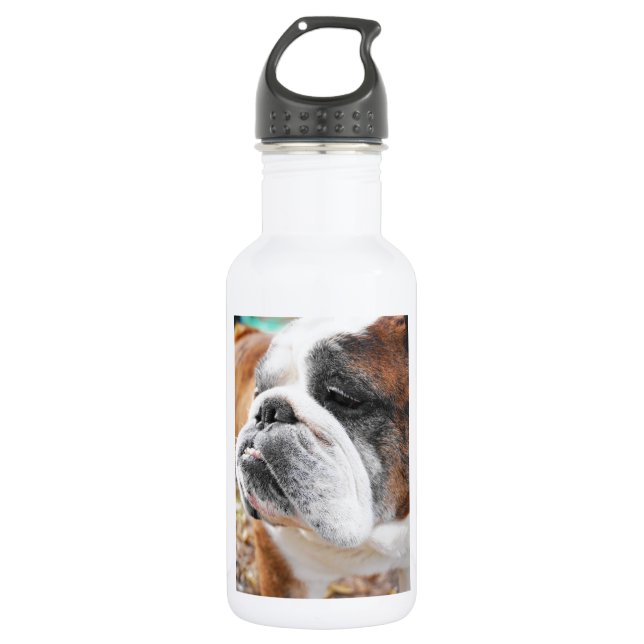 Englische Bulldogge Edelstahlflasche (Vorderseite)