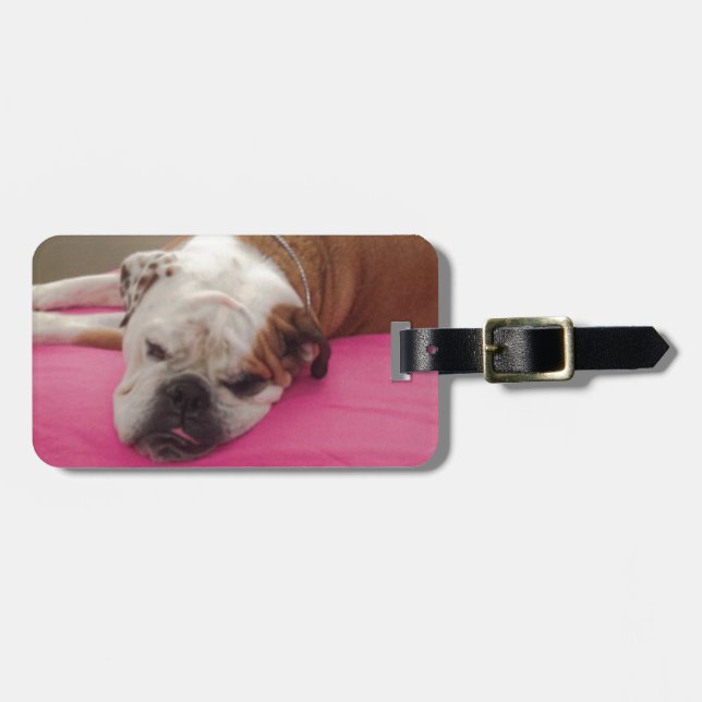 Englische Bulldogge Gepäckanhänger (Vorderseite horizontal)
