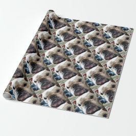 Englische Bulldogge Geschenkpapier