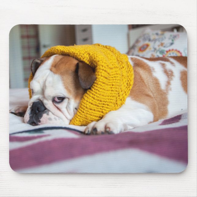 Englische Bulldogge Getty Bild-| Mousepad (Vorne)
