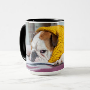 Englische Bulldogge Getty Bild-  Tasse