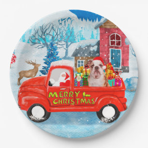 Englische Bulldogge im Weihnachtslieferwagen Schne Pappteller